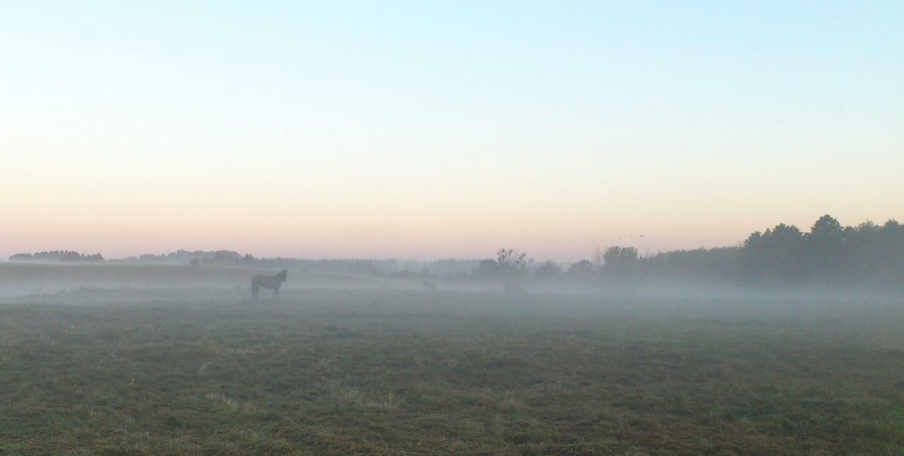 Villa Zlota Lesniczowka Rydzowka Esterno foto