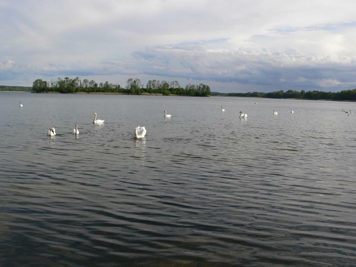 Villa Zlota Lesniczowka Rydzowka Esterno foto