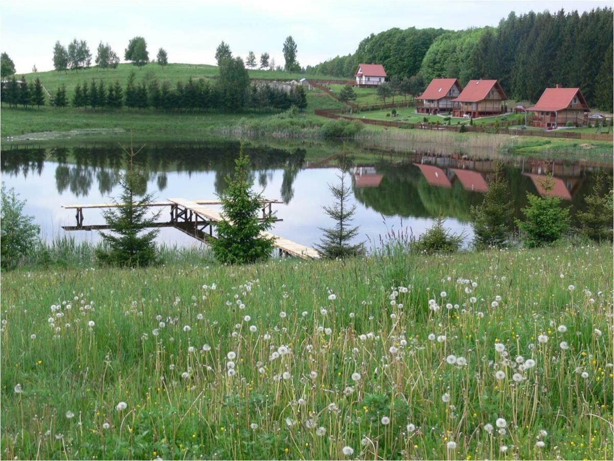 Villa Zlota Lesniczowka Rydzowka Esterno foto
