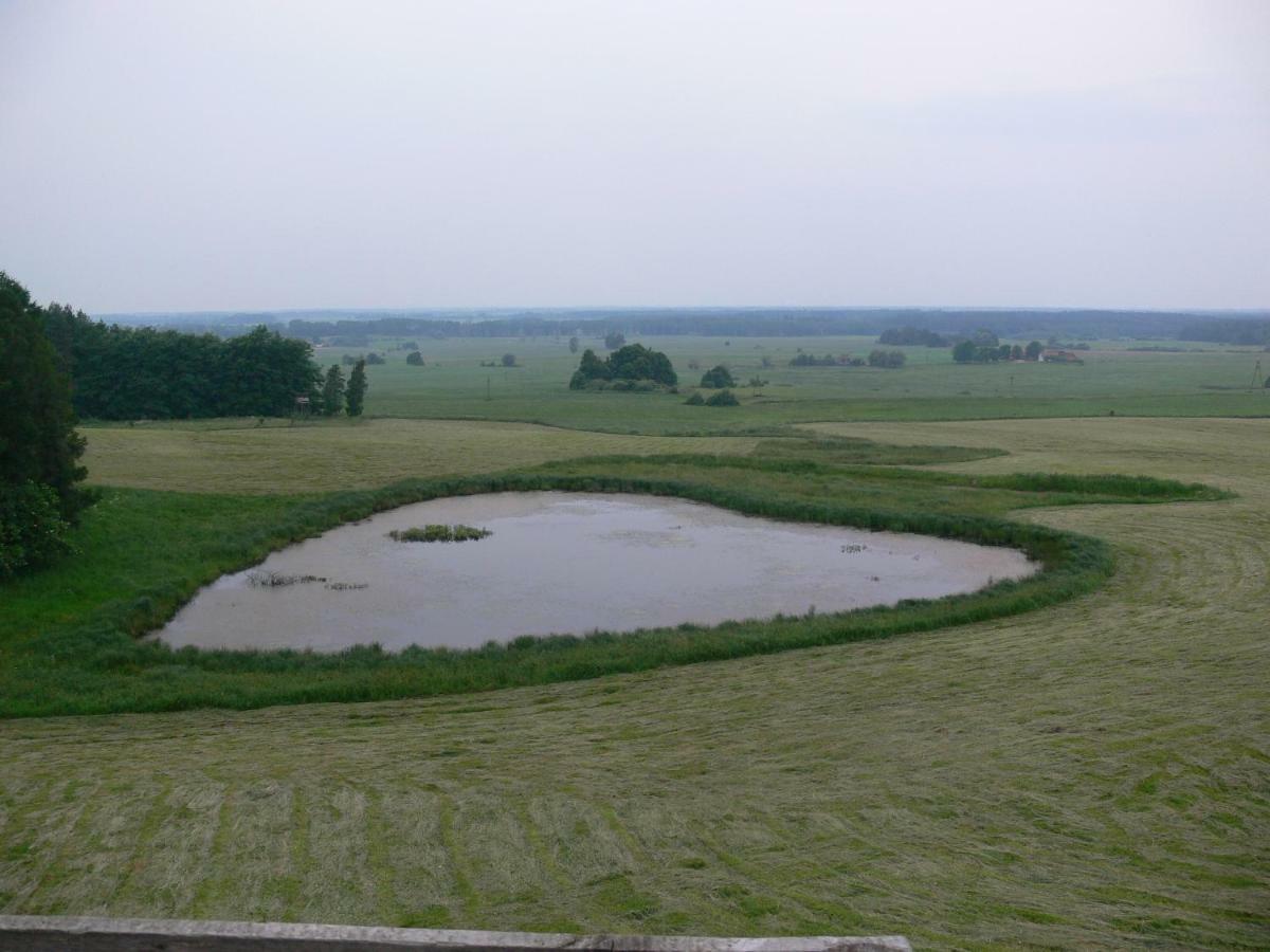 Villa Zlota Lesniczowka Rydzowka Esterno foto