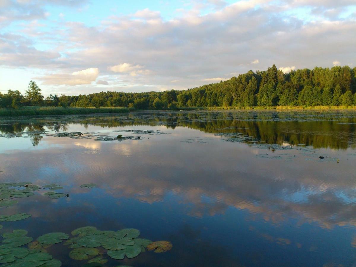 Villa Zlota Lesniczowka Rydzowka Esterno foto
